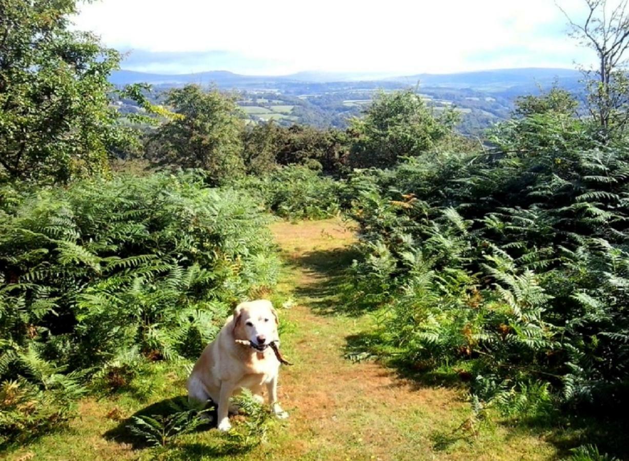 Heathergate Cottage Dartmoor Bnb Lydford Eksteriør bilde