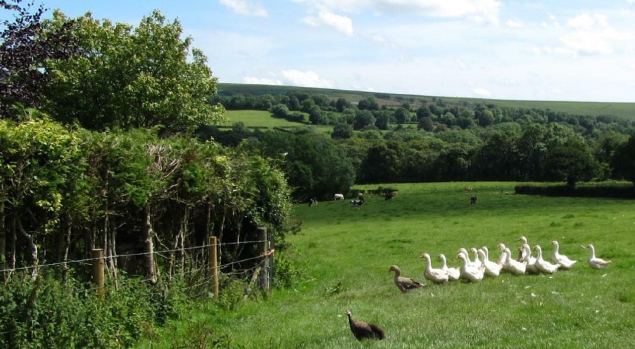 Heathergate Cottage Dartmoor Bnb Lydford Eksteriør bilde